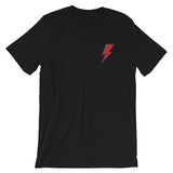 Aladdin Sane Embroidered Unisex T-Shirt