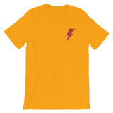 Aladdin Sane Embroidered Unisex T-Shirt